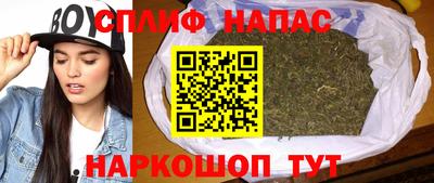 крисы Кунгур