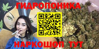 соль ск Кулебаки
