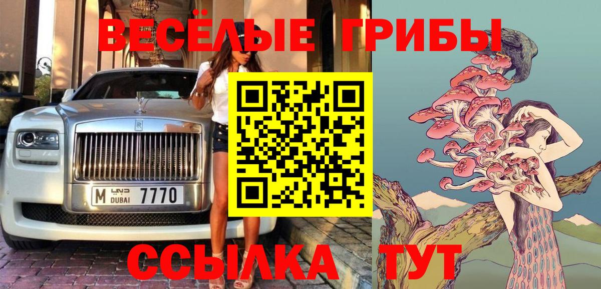 Псилоцибиновые грибы мицелий Знаменск