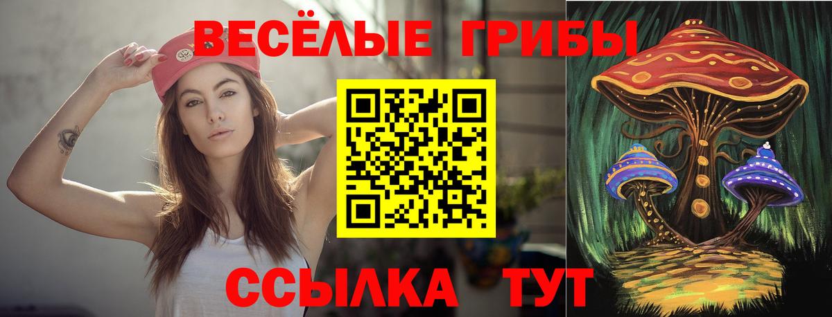 Галлюциногенные грибы Psilocybine cubensis  Вход с VPN  Знаменск 